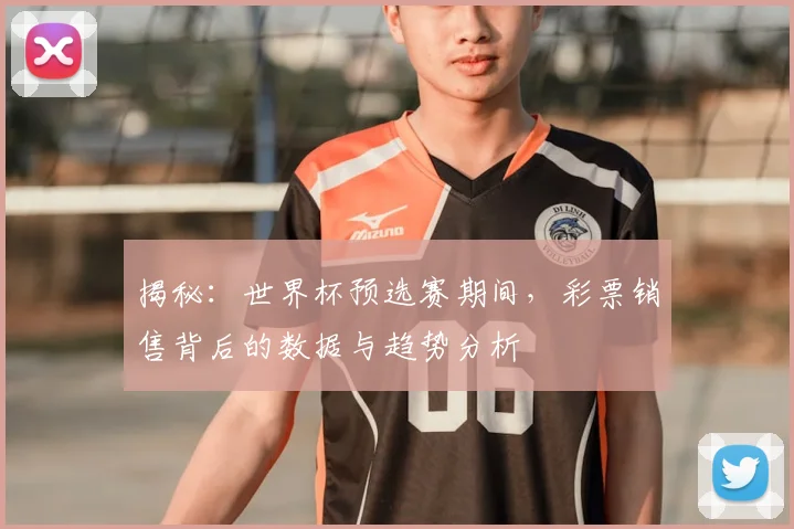 揭秘：世界杯预选赛期间，彩票销售背后的数据与趋势分析