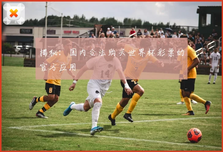 揭秘：国内合法购买世界杯彩票的官方应用