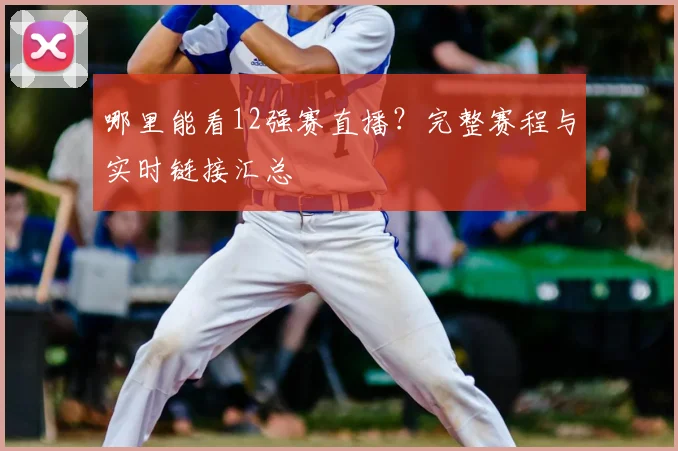 哪里能看12强赛直播？完整赛程与实时链接汇总