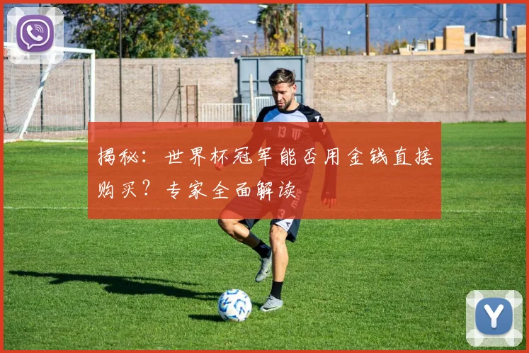 揭秘：世界杯冠军能否用金钱直接购买？专家全面解读