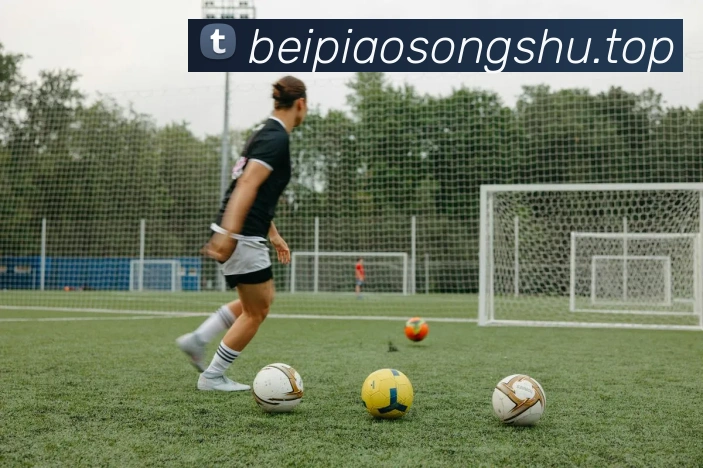 beat365官方网站入口发展历程